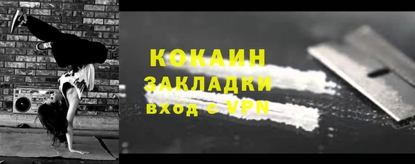 индика Алзамай