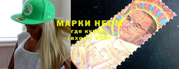 индика Алзамай