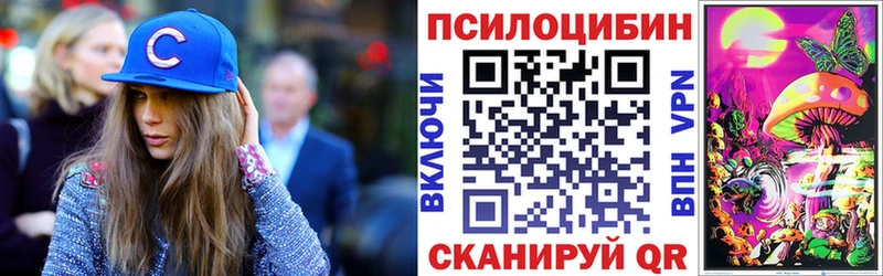 Галлюциногенные грибы GOLDEN TEACHER Дзержинский