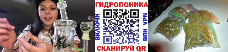 Бошки марихуана VHQ  Дзержинский 